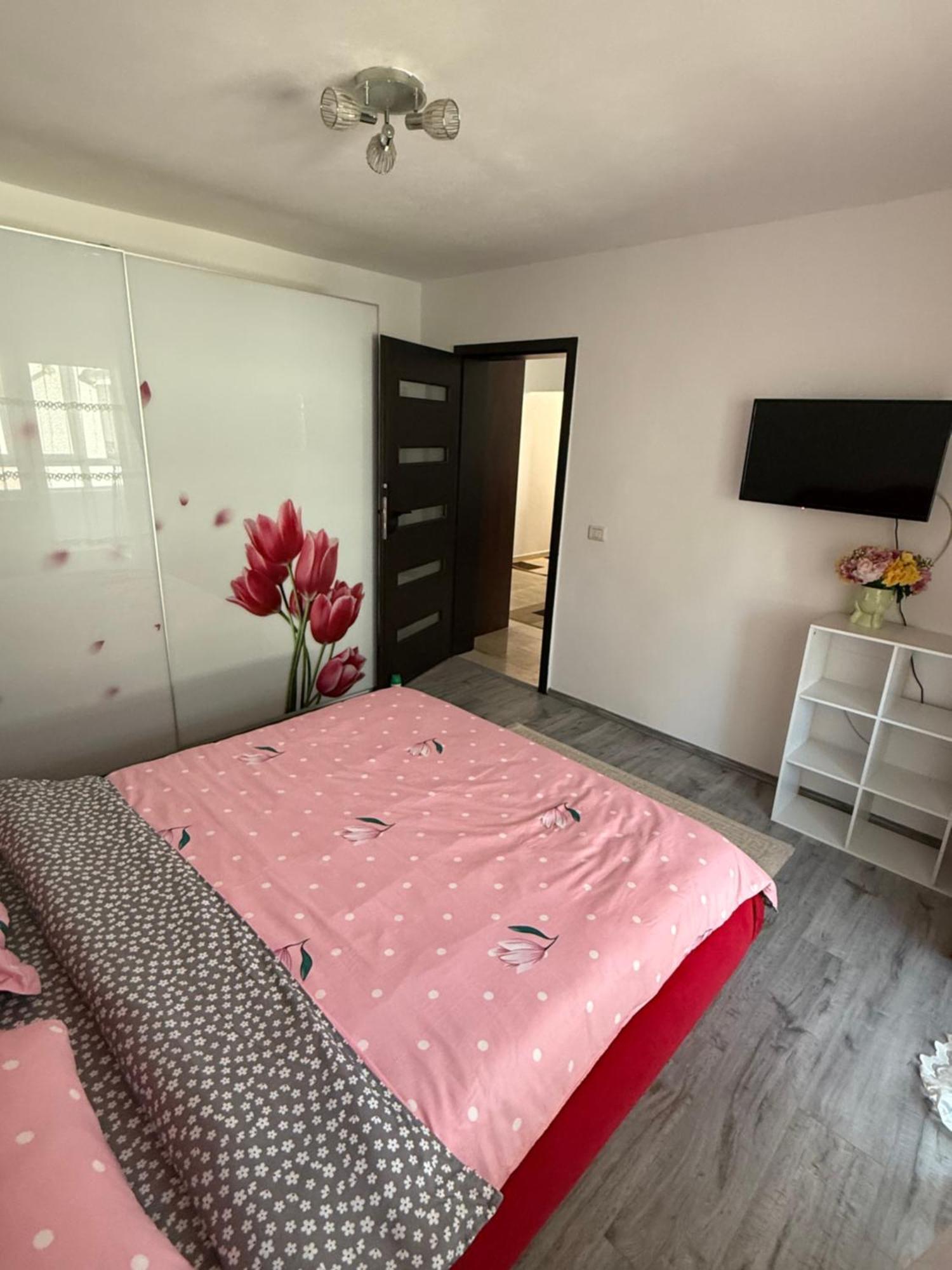 Apartament Cozy Dragasani Extérieur photo