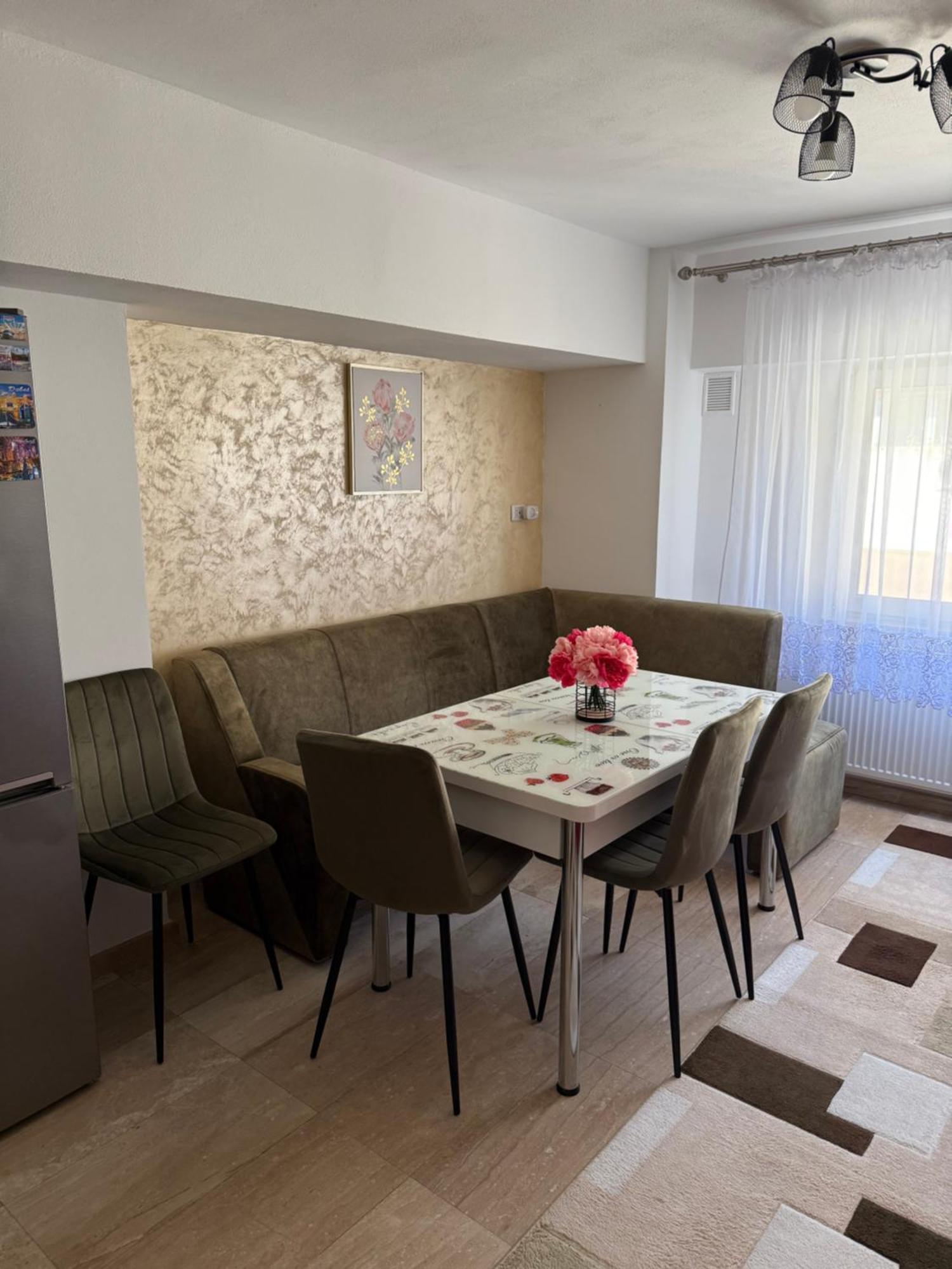 Apartament Cozy Dragasani Extérieur photo
