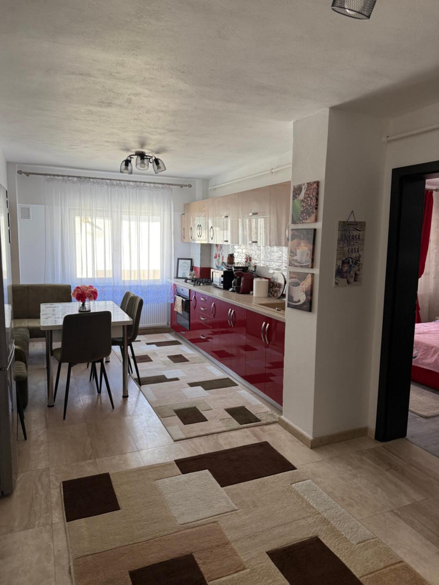 Apartament Cozy Dragasani Extérieur photo